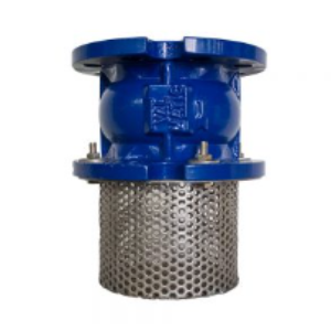 Foot Valves300x300px 1